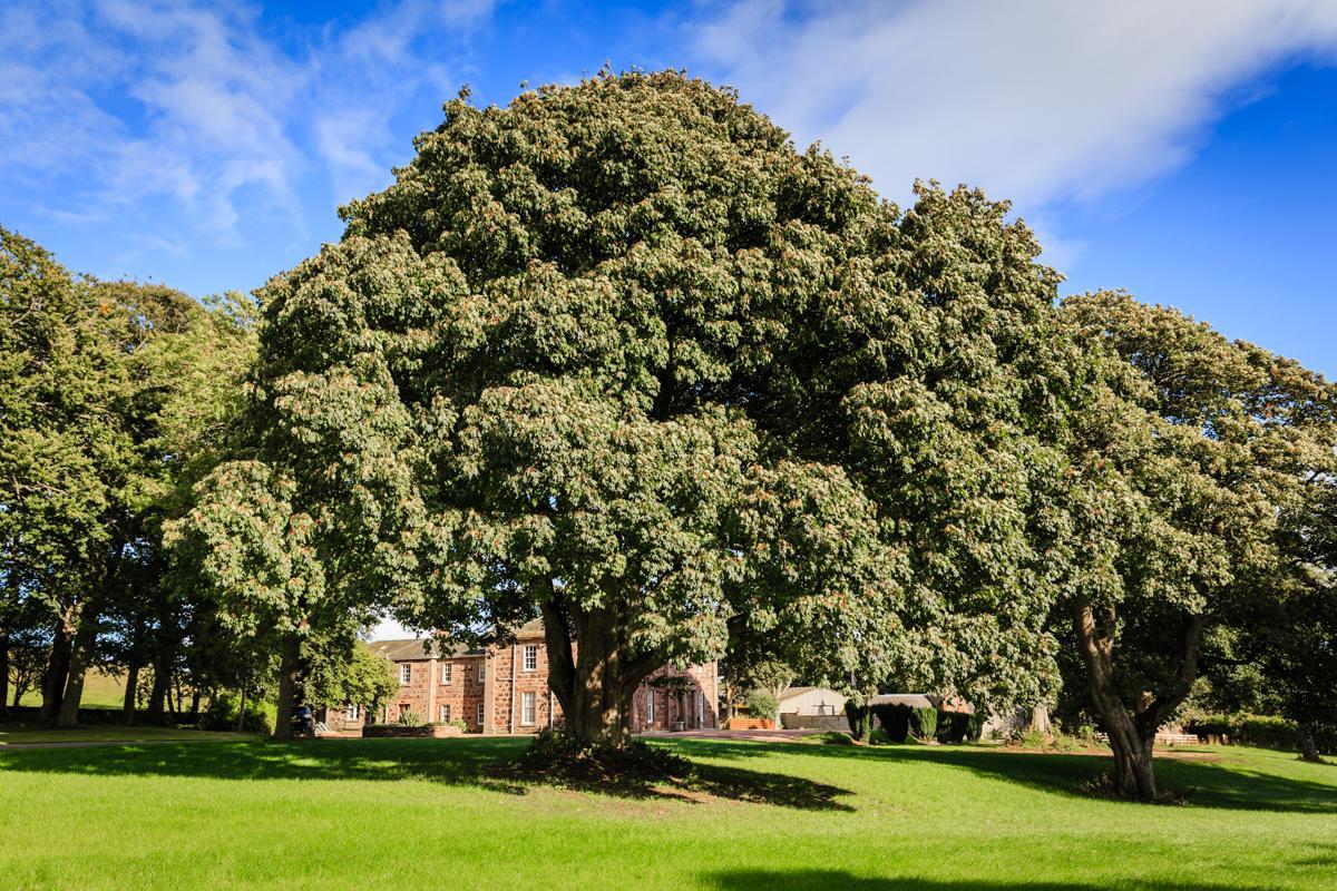 Lunan House Arbroath Luaran gambar